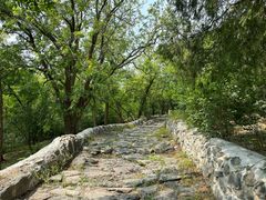 -阳台山自然风景区