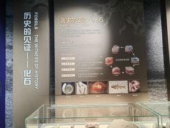 -中国地质大学逸夫博物馆