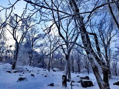 -中旅松花湖滑雪场