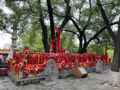 -大槐树寻根祭祖园