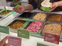 -Salud撒露欧洲冻酸奶(五道口购物中心店)