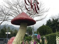 -东部华侨城
