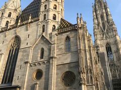 -斯蒂芬主教座堂(Stephansdom)
