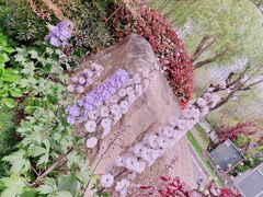 -梅林春晓花园餐厅
