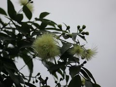 -海珠湖公园