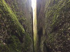 -汤旺河林海奇石景区