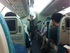 漂亮的空姐-新加坡航空公司(ION)