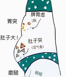 -Fundi张玉珊修身堂·indiba·BTL科技瘦身