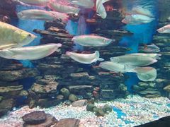 -多彩贵州城极地海洋世界