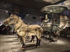 -秦始皇帝陵博物院-丽山园