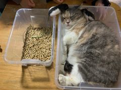 -藦茜花园宠物主题亲子互动体验馆(国顺东路店)