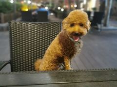 -蘭·日本料理铁板烧(碧云路店)