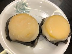 芒果雪媚娘-民信老铺(华盖路店)