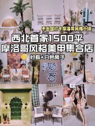 -好看加白色房子