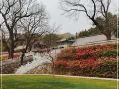 -红螺寺