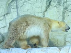 -大连老虎滩海洋公园