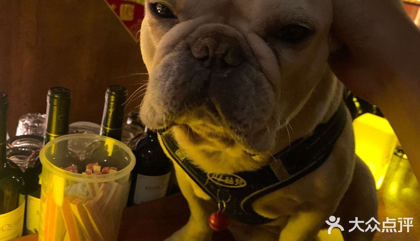 深夜放松一杯酒