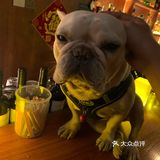深夜放松一杯酒