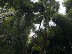 -望江楼公园
