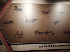 -荆州博物馆