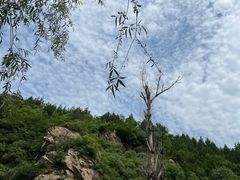 -灵溪风景区