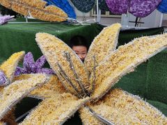 -大塘金香草谷
