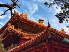 -故宫博物院(故宫)