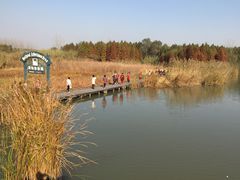 -溱湖国家湿地公园