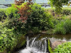 -中国茶叶博物馆(双峰馆区)