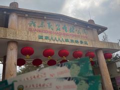 -广东茂名森林公园