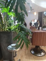 -意廊 Hair Salon