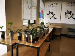-Torch Coffee 炬点咖啡