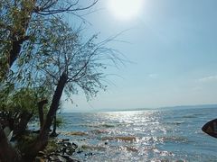 -捞渔河湿地公园