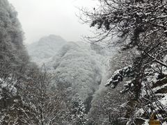 -陕西省红河谷森林公园