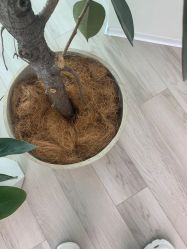 -HEYAN荷妍专业脱毛连锁机构