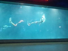 -福州罗源湾海洋世界旅游区