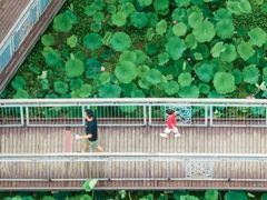 -月湖风景区