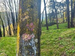 -秦岭终南山世界地质公园翠华山景区