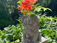 -青岛崂山太清宫