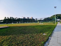 -阳台山森林公园