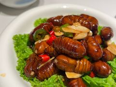 -拾柴熏酱-鲜虾水饺(群力店)