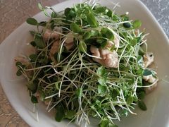 香椿苗拌鲜桃仁-同和居(什刹海店)