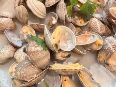 -潮庭·大连海鲜·炭火烧烤·扇贝王(大连店)