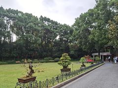 -申粤轩酒楼·三十年粤菜经典(丁香花园店)