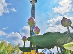 -南京银杏湖乐园