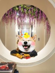 -盘子女人坊古装写真摄影(天津总店)