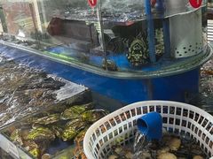 -张树军海鲜(王府壹号店)