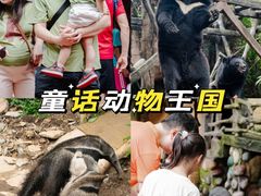 -长鹿旅游休博园