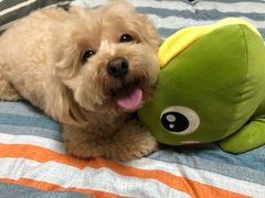 -致善宠物医院(体育路店)