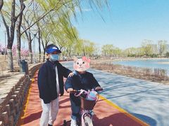 -大兴滨河森林公园